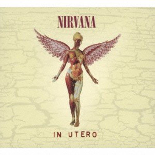 NIRVANA IN UTERO DELUXE EDITION remaster Japanese pressing 2SHM-CD UICY-15253/4_1