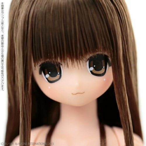 EX Cute 9th Series Komorebimori no Dobutsutachi Bear / Koron (Fashion Doll) NEW_7