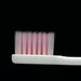 Systema waves assist brushes Distribution brush usually pink 2 pieces NEW_3