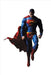Medicom Toy RAH 647 DC Universe SUPERMAN HUSH Ver. 1/6 Scale Figure from Japan_1