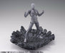 Tamashii Effect Impact Gray Ver BANDAI TAMASHII NATIONS from Japan_3