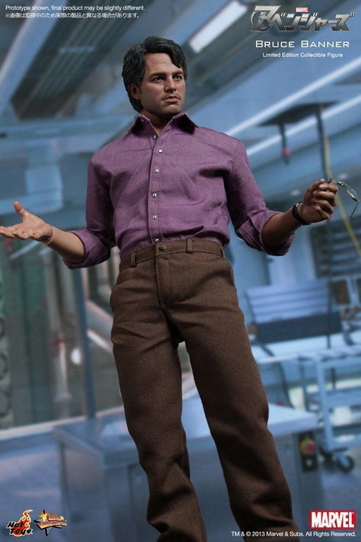 Movie Masterpiece Avengers BRUCE BANNER 1/6 Action Figure Hot Toys from Japan_2