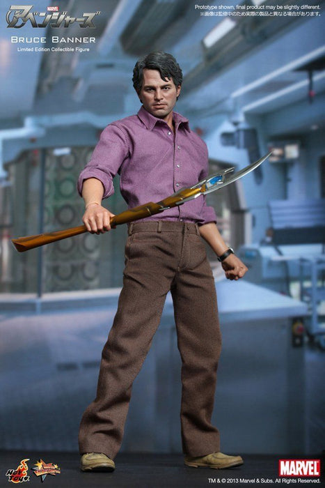 Movie Masterpiece Avengers BRUCE BANNER 1/6 Action Figure Hot Toys from Japan_3