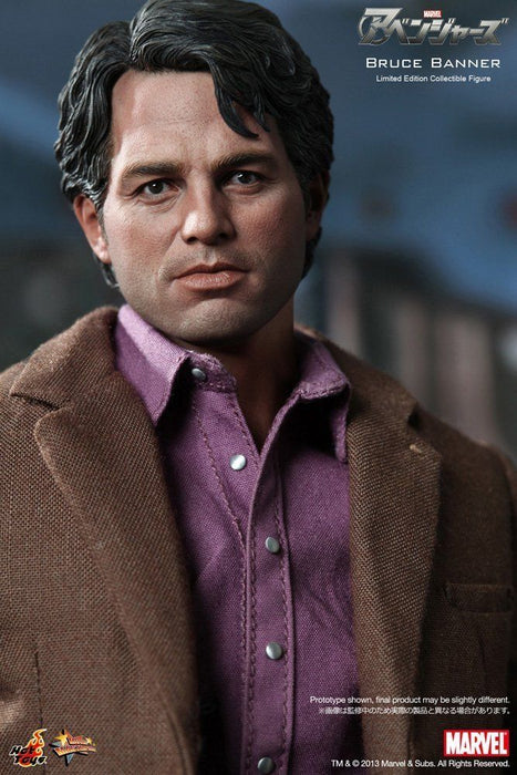 Movie Masterpiece Avengers BRUCE BANNER 1/6 Action Figure Hot Toys from Japan_4
