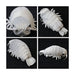 Sea Creature Giant Isopod Realistic Stuffed Plush Doll (M Size) / 20 cm ‎7401_5