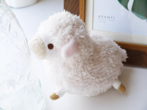 Sinada Global stuffed toy baby alpaca ivory S ‎BBA-0058I H12xW9xD17cm NEW_1