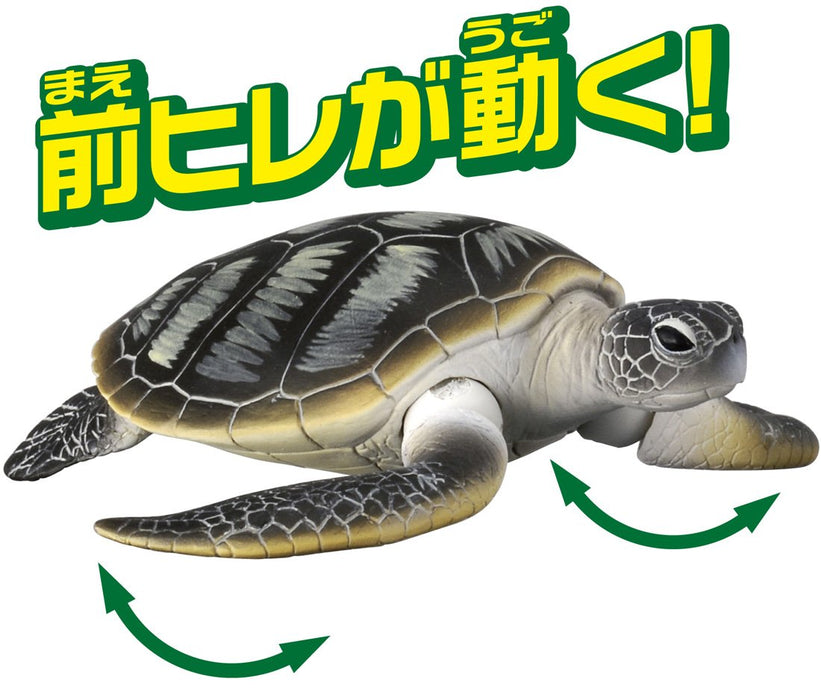 Takara Tomy Ania AS-20 Green Turtle Animal Dinosaur Realistic Figure 803645 NEW_3