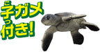 Takara Tomy Ania AS-20 Green Turtle Animal Dinosaur Realistic Figure 803645 NEW_4