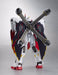 ROBOT SPIRITS Side MS CROSSBONE GUNDAM X-1 FULL CLOTH Action Figure BANDAI japan_4