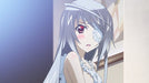 IS Infinite Stratos 2 OVA World Purge Edition Blu-ray NEW from Japan_7