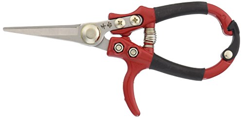Senkichi gardening scissors round handle For sprout cutting SGP-38 NEW_1