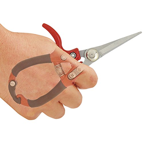 Senkichi gardening scissors round handle For sprout cutting SGP-38 NEW_3