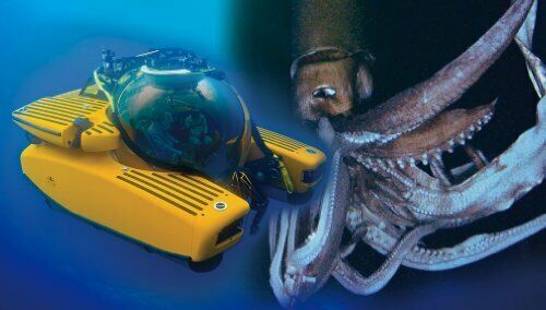 AOSHIMA 1/48 Deep Sea Explorer Series No.01 submersible Triton NEW from Japan_1