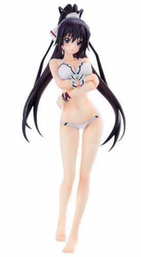 IS Infinite Stratos Houki Shinonono Swimsuit Ver 1/7 PVC figure Gift from Japan_1