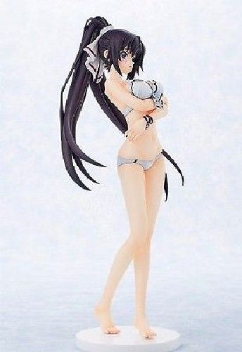 IS Infinite Stratos Houki Shinonono Swimsuit Ver 1/7 PVC figure Gift from Japan_5