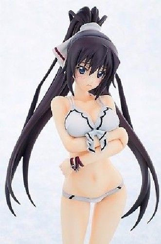 IS Infinite Stratos Houki Shinonono Swimsuit Ver 1/7 PVC figure Gift from Japan_6