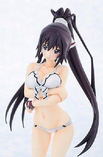 IS Infinite Stratos Houki Shinonono Swimsuit Ver 1/7 PVC figure Gift from Japan_8