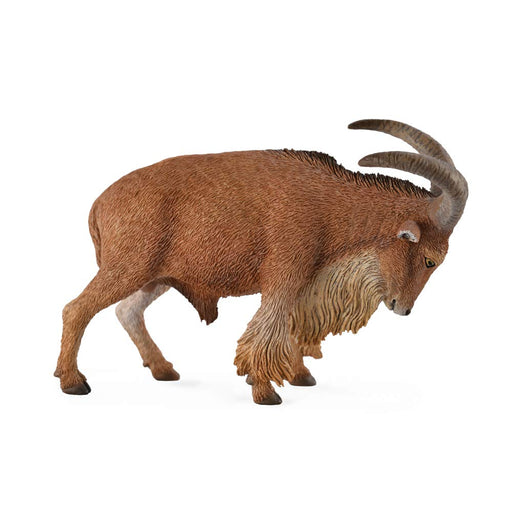 COLLECTA Wild Life Barbary Sheep Toy Real Figure All Products Hand Paint 88683_1