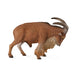 COLLECTA Wild Life Barbary Sheep Toy Real Figure All Products Hand Paint 88683_1