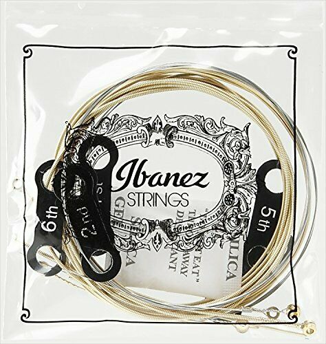 Ibanez 80/20 Bronze Coated String Light scale for Acoustic Guitar IACS6C NEW_3