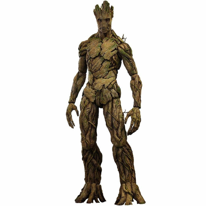 Movie Masterpiece Guardians of The Galaxy GROOT 1/6 Action Figure Hot Toys NEW_1