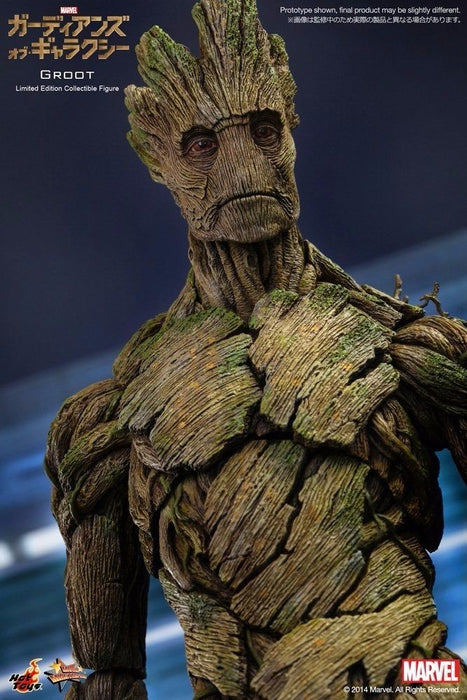 Movie Masterpiece Guardians of The Galaxy GROOT 1/6 Action Figure Hot Toys NEW_6