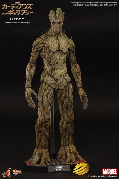 Movie Masterpiece Guardians of The Galaxy GROOT 1/6 Action Figure Hot Toys NEW_7