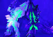 Bandai HGUC 1/144 Unicorn Gundam Unit 1 and Unit 2 Ver. GFT STRIKES ODAIBA SET_9
