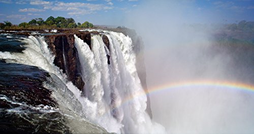 Nature 3D & 2D Blu-ray Set Patrick Morris 4K Dolby Atmos GNXF1803 NEW from Japan_7