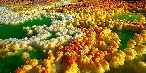 Nature 3D & 2D Blu-ray Set Patrick Morris 4K Dolby Atmos GNXF1803 NEW from Japan_9