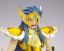 Saint Cloth Myth EX Saint Seiya AQUARIUS CAMUS Action Figure BANDAI from Japan_4