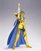 Saint Cloth Myth EX Saint Seiya AQUARIUS CAMUS Action Figure BANDAI from Japan_8