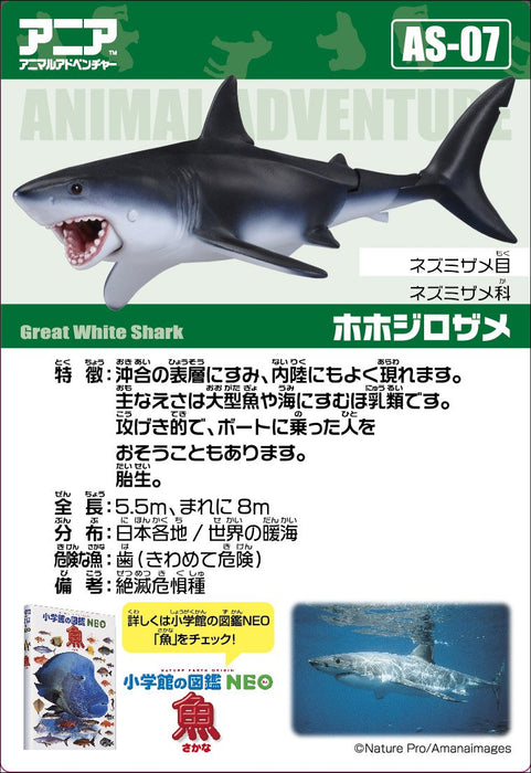 Takara Tomy Ania AS-07 Great White Shark Mini Real Animal Action Figure NEW_3