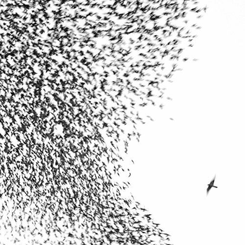 Warner Music Japan Wilco Sky Blue Sky NEW_1