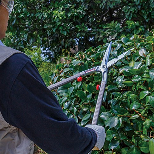 ARS HS-KR1000 Professional Hedge Spare blade type lightweight cutting shears NEW_2