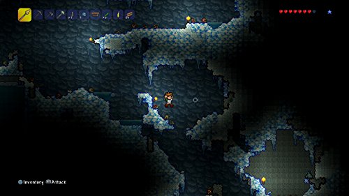 PS4 Game Software Teraria PLJS70020 Manufacturing action adventure game NEW_9