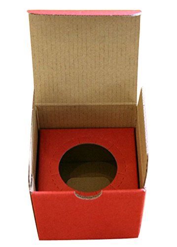 Sake Glass Emperor Dragon Arita Takumi No Kura Artisan Collection T807 NEW_3