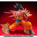 Figuarts ZERO Dradon Ball Z SON GOKOU KAMEHAMEHA PVC figure BANDAI from Japan_6