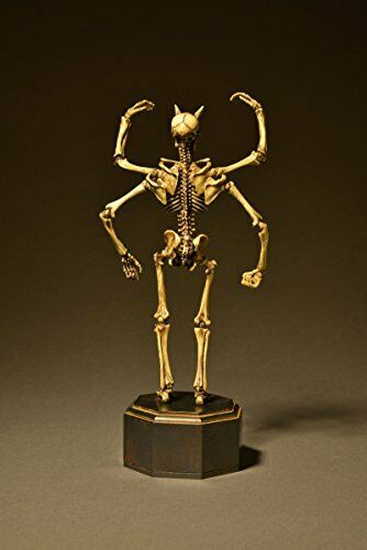 KT Project KT-006 [Takeya Freely Figure] Skeleton Color Edition NEW from Japan_10