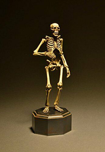 KT Project KT-006 [Takeya Freely Figure] Skeleton Color Edition NEW from Japan_2