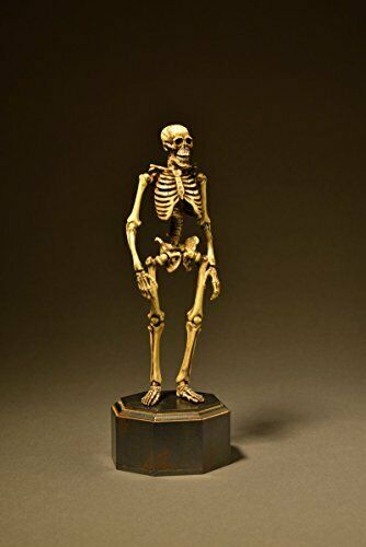 KT Project KT-006 [Takeya Freely Figure] Skeleton Color Edition NEW from Japan_3