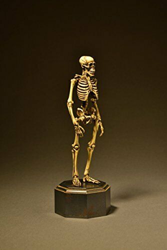 KT Project KT-006 [Takeya Freely Figure] Skeleton Color Edition NEW from Japan_4