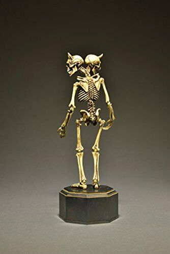 KT Project KT-006 [Takeya Freely Figure] Skeleton Color Edition NEW from Japan_6