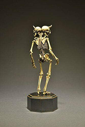 KT Project KT-006 [Takeya Freely Figure] Skeleton Color Edition NEW from Japan_7