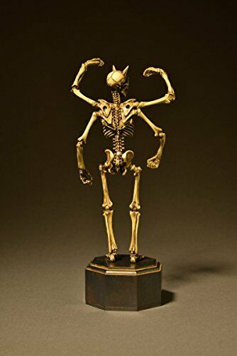 KT Project KT-006 [Takeya Freely Figure] Skeleton Color Edition NEW from Japan_9