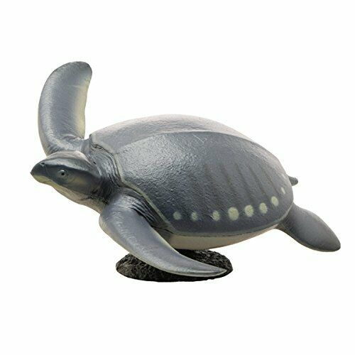 Febaritto  77619 archelon software model FP-005 NEW from Japan_1