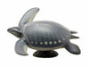 Febaritto  77619 archelon software model FP-005 NEW from Japan_2