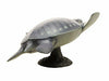 Febaritto  77619 archelon software model FP-005 NEW from Japan_3