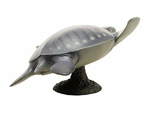 Febaritto  77619 archelon software model FP-005 NEW from Japan_3
