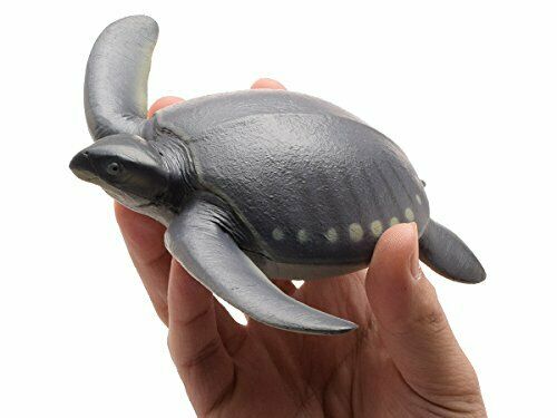 Febaritto  77619 archelon software model FP-005 NEW from Japan_5
